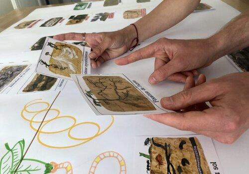 images des cartes pour l'atelier des sols vivants