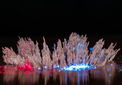effet du magnétisme et fluorescence