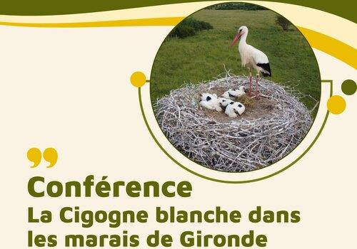 Affiche Conférence Cigogne blanche