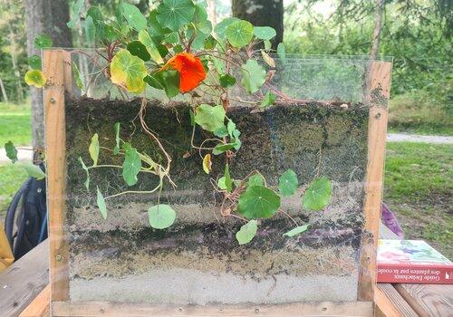 Exemple d'un souterrarium