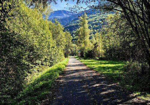 voie verte d'Allemond, route en goudron et bordée de végétation