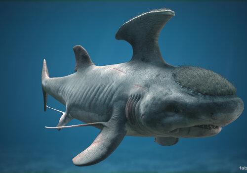 Stethacanthus