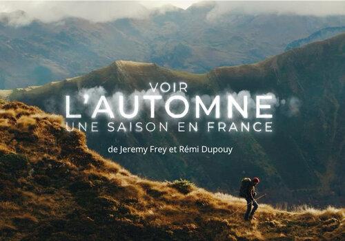 Affiche du film en format cinémascope