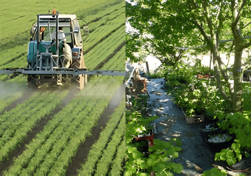 Image d'illustration d'une agriculture high tech (photo de gauche) et d'une agriculture low tech (photo de droite)