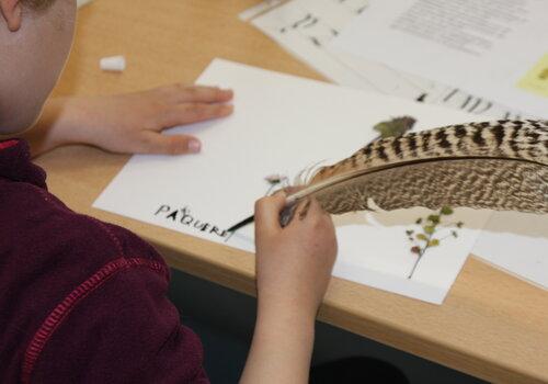 Atelier herbier