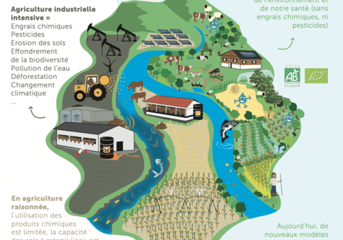 L'alimentation, notre 1er impact sur l'eau. Quel modèle agricole? Pas d’alimentations durables sans agricultures durables et pas d’agriculteurs engagés sans consommateurs engagés...  
