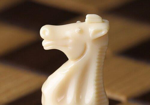 Piece de jeu d'échecs