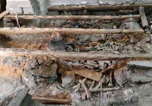 sous les lambourdes du plancher déposé, divers vestiges dont des ossements
