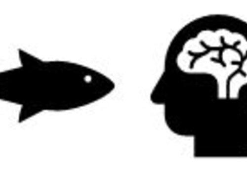 Poisson et cerveau