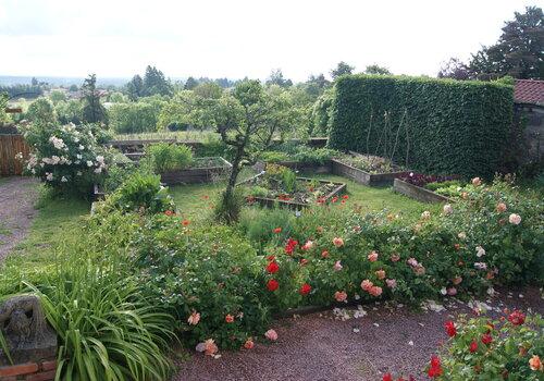 Potager en mai 2026