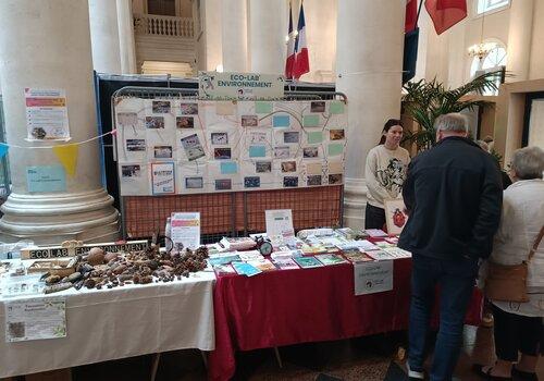 Stand ECO-Lab' avec la fresque du climat quiz