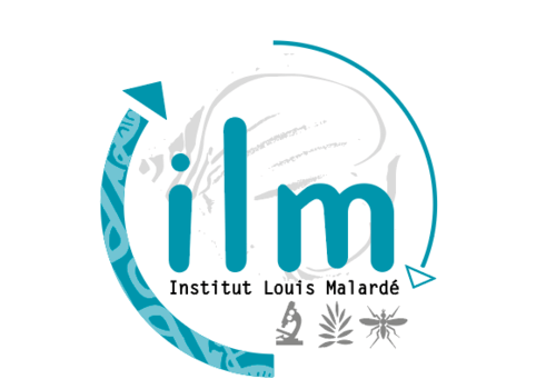 Logo ILM