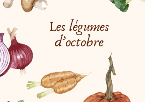 Plusieurs légumes d'octobre