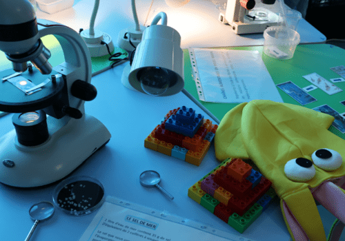 Exemple d' atelier : observation au microscope