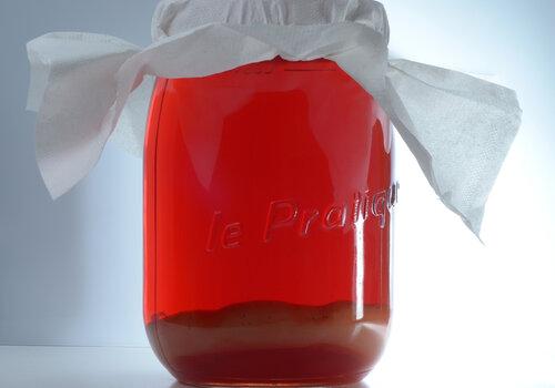 Kombucha