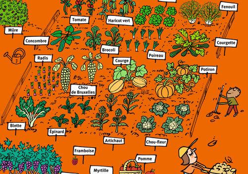 Les Super-Héros de l'assiette