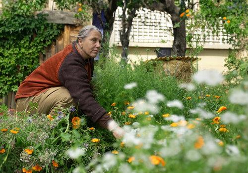 De la terre à l'assiette, nos sens comme saveurs