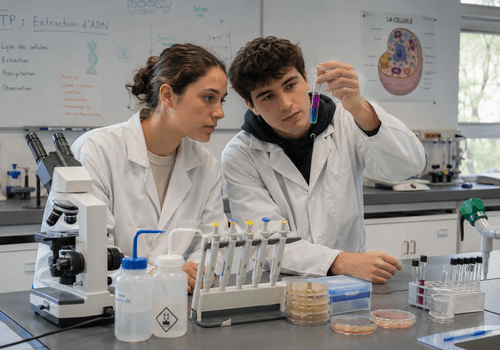 2 étudiants en salle de travaux pratiques