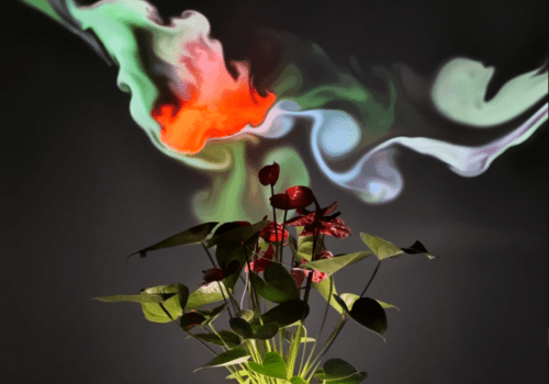 Plant Being
