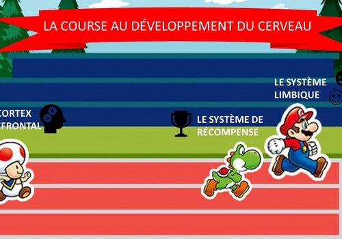 La course au developpement du cerveau. Les differents systèmes cérébrales n'ont pas la mème allure!