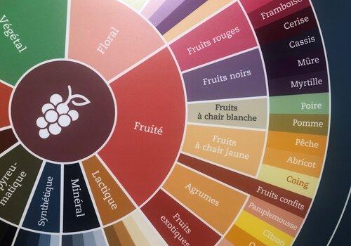 Détail d'une roue des arômes du vin