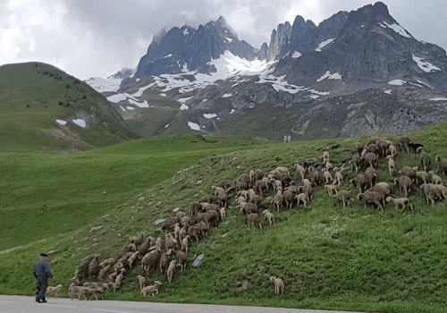 arrivée à l'alpage du Glandon