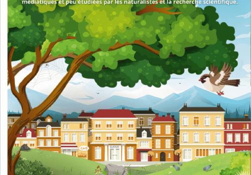 Affiche de Biodiversité (In)visible