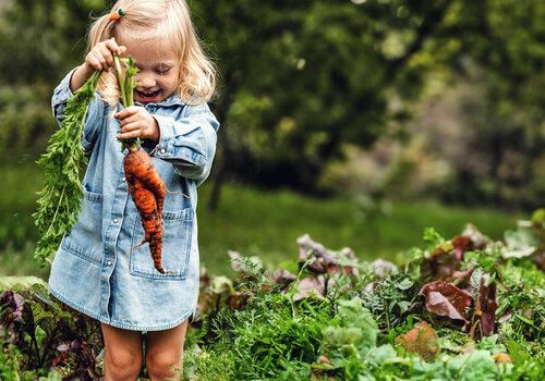 Une petite fille tient un légume