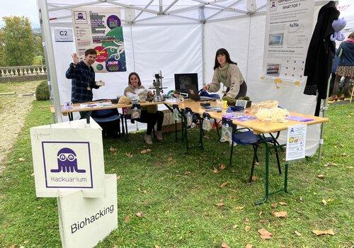 stand Hackuarium