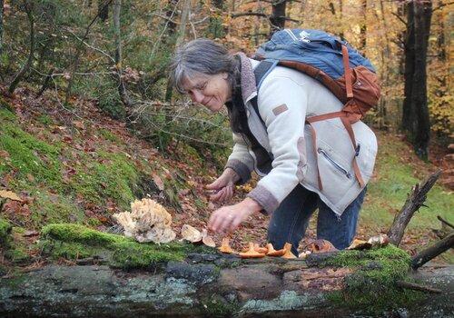 une femme se baisse dans la forêt pour toucher un champignon