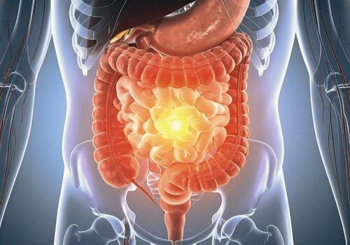 Les super-pouvoirs du microbiote