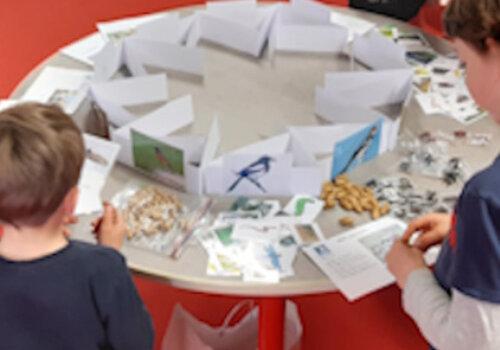 Adaptation becs et régimes alimentaires