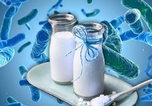 Passons à table avec les microbes !