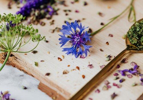 Plantes et fleurs comestibles