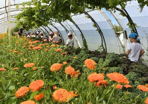 Photo visite de ferme