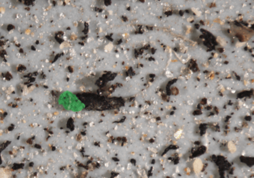 Particules de microplastiques retrouvées dans l'environnement