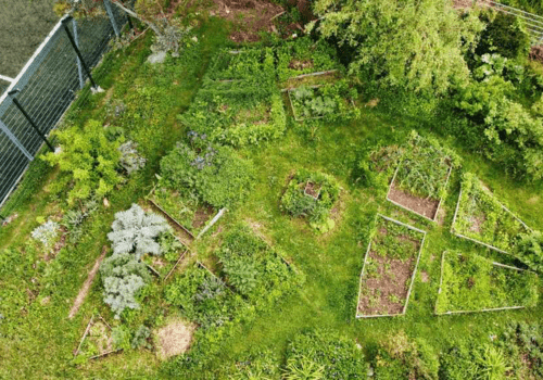 Jardins à croquer
