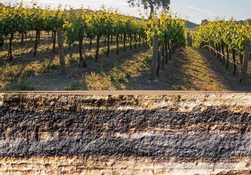 Quand la roche façonne le vin