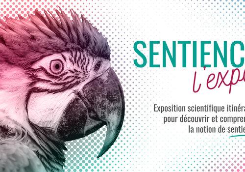 Sentience l'expo