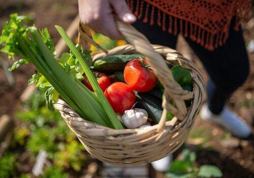 Une femme porte un panier de légumes