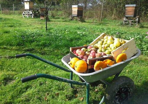 Fruits, légumes, miel, douces saveurs à découvrir