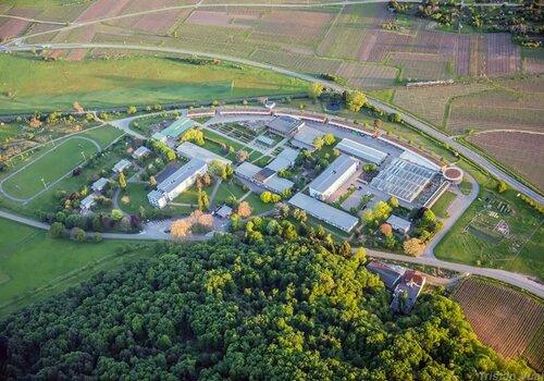 Vue aérienne du lycée du Pflixbourg à Wintzenheim avec une vue d'ensemble des bâtiments situés en pleine nature.
