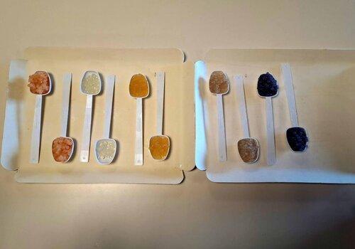 Un atelier pour apprendre à concilier alimentation, bonne santé et respect de l'envirionnement