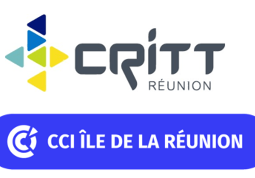 Logo CRITT CCI Réunion