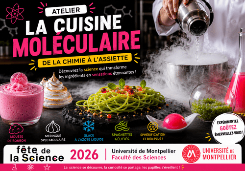 Affiche de la Fête de la Science 2026 présentant un atelier de cuisine moléculaire avec un chef versant un liquide vapeur dans un récipient, entouré de plats expérimentaux colorés (spaghettis verts, mousse rose, meringue, sphérifications) et d’éléments évoquant la chimie.
