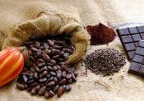 Cabosse et fèves de chocolat, cacao, tablette de chocolat