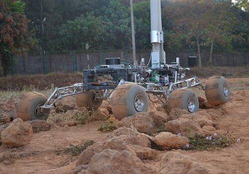 Rover