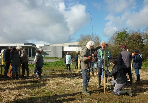 Plantation d'un verger
