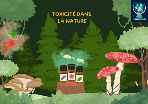 bon à savoir - toxicité - primaire