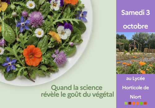 Quand la science révèle le goût du végétal